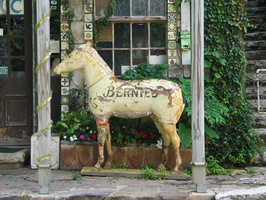 2007 06-Eureka Springs Horse